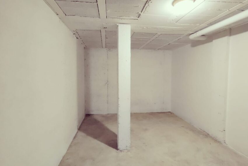 WhatsApp-Image-2025-06-11-at-11.02.24-1110x623